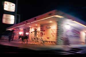 Wedding Chapel Horse | William Binzen Photography